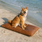 Water-Repellent Scratch-Resistant Double-Sided Washable Dog Mat