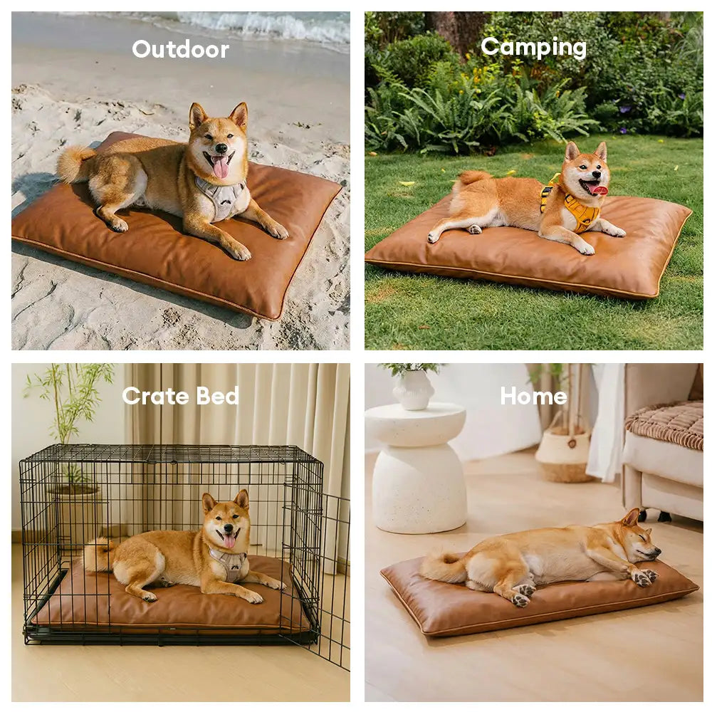 Water-Repellent Scratch-Resistant Double-Sided Washable Dog Mat