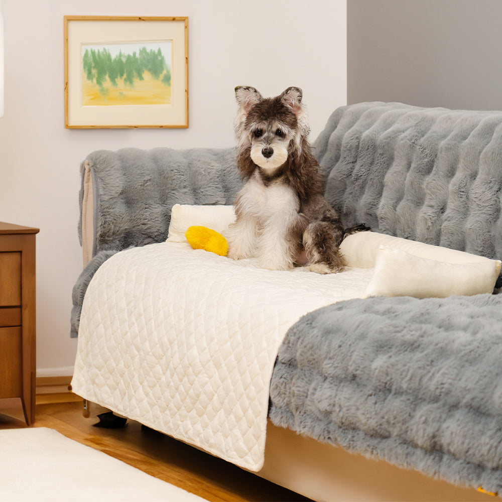 Dog bedroom outlet furniture