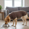 Windproof and Water-Resistant Dog Coat - Ideal for Large Dogs