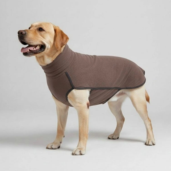 Manteau pour chien coupe-vent et résistant à l'eau - Idéal pour les grands chiens