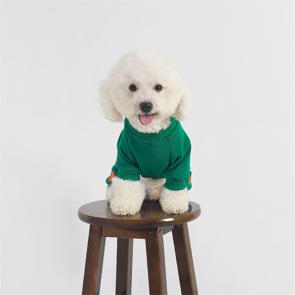 Pijama verde para perros con estampado de calabazas: ropa de dormir acogedora y festiva para perros