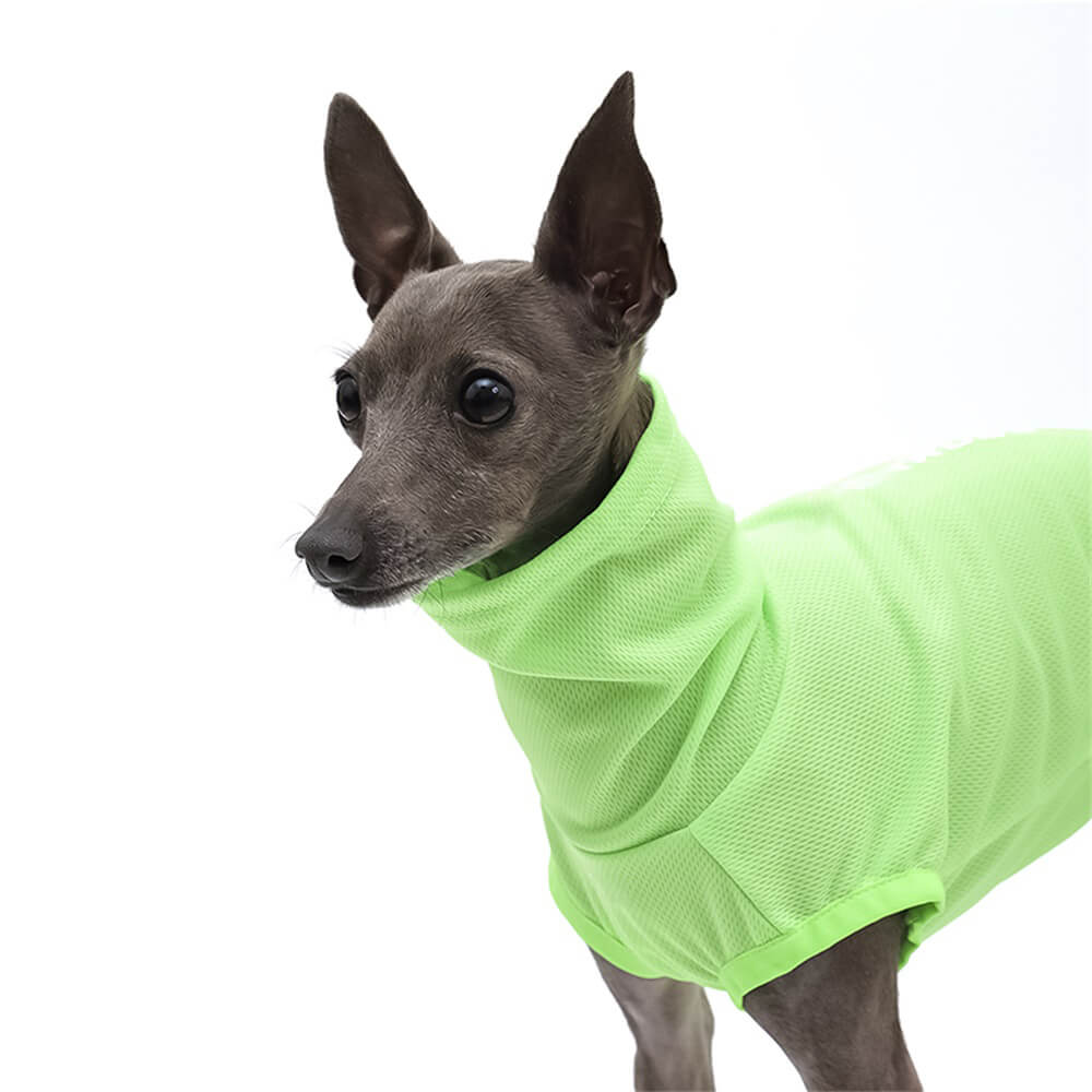 High-Visibility Lightweight Dog Turtleneck - Bright and Breathable for Outdoor Adventures