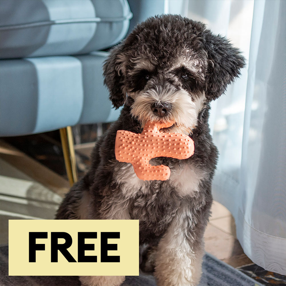 Cactus Shaped Squeaky Dog Toys