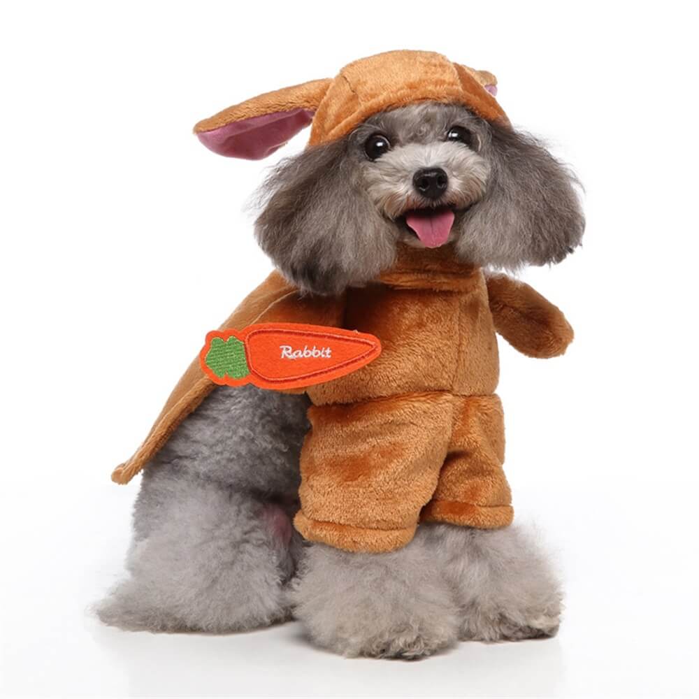 Disfraces divertidos de Halloween para perros cosplay: trajes divertidos y adorables para mascotas