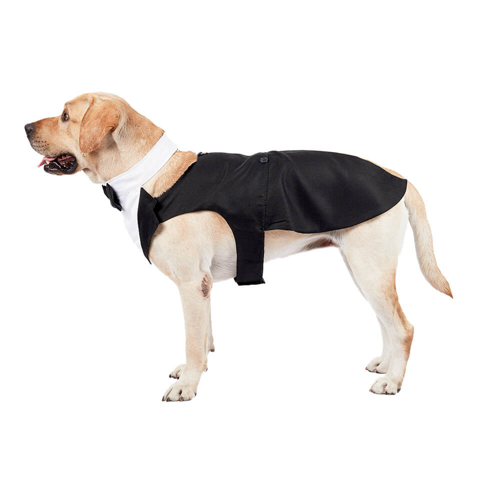 Ropa para perros, vestido de traje con pajarita de boda