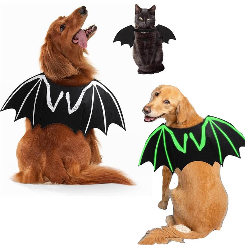 Disfraz de perro de Halloween con alas de murciélago y calavera luminosa | Accesorios para juegos de rol para mascotas