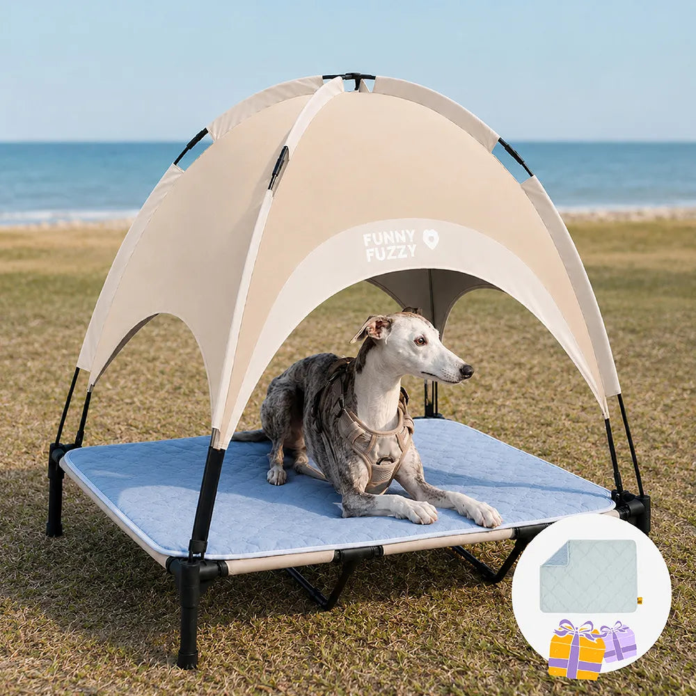 Breathable Cooling Elevated Dog Bed With Cooling Blanket