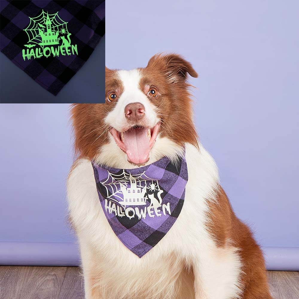 Luminous Pumpkin Skull Triangle Bandana for Pets | Festive & Glowing Dog Bib