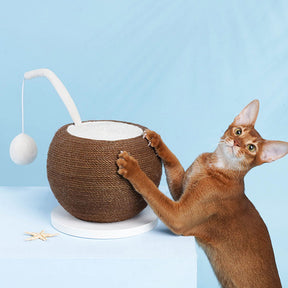 Aiguisoir à griffes pour chat en noix de coco