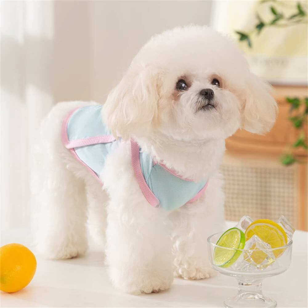 Breathable Pastel Dog Harness Vest - Comfortable and Stylish for Everyday Wear