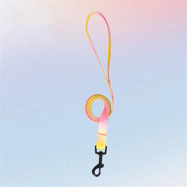 Colorful Gradient Dog Traction Rope and Chest Harness - Anti-Breakaway Design