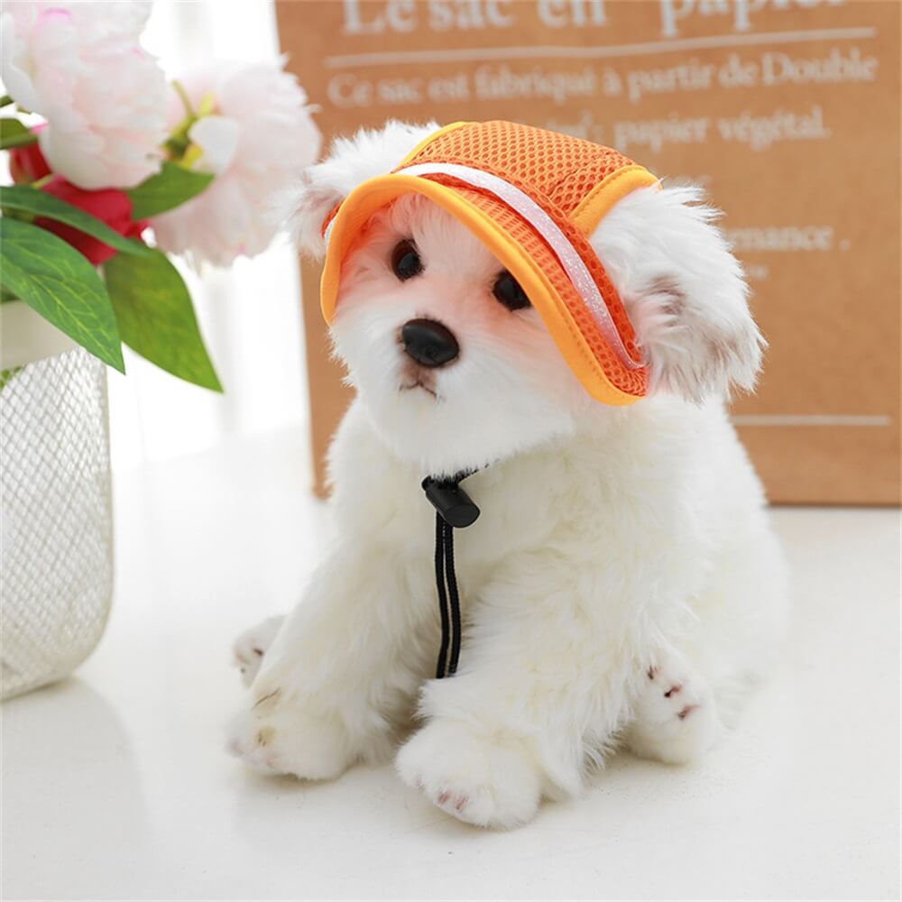 Pet Cat Dog Accessories Adjustable Rope Leaky Ear Sun Hat