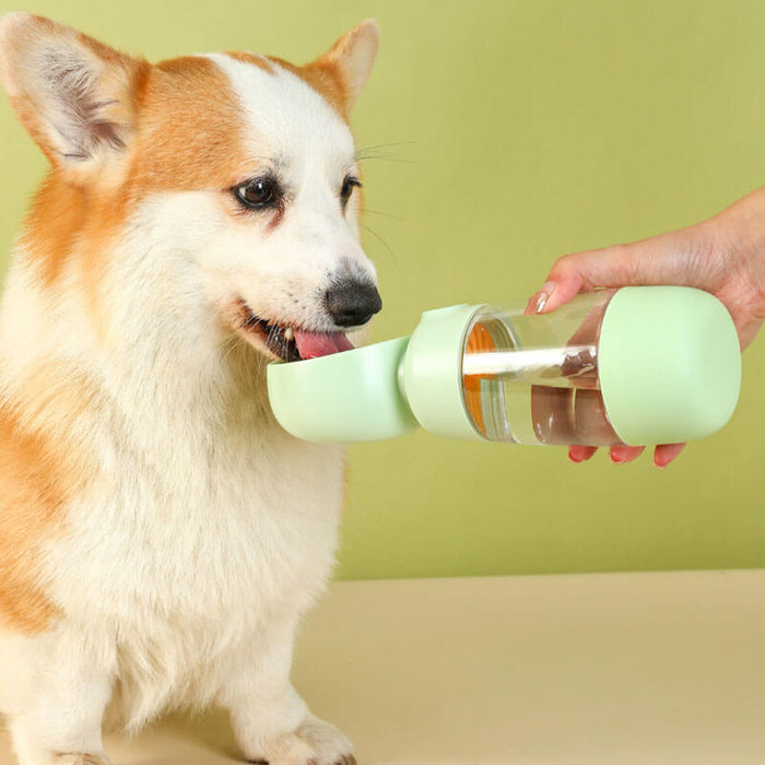 2 in 1 Portable Dog Water Bottle | Hydration & Feeding On-the-Go ...