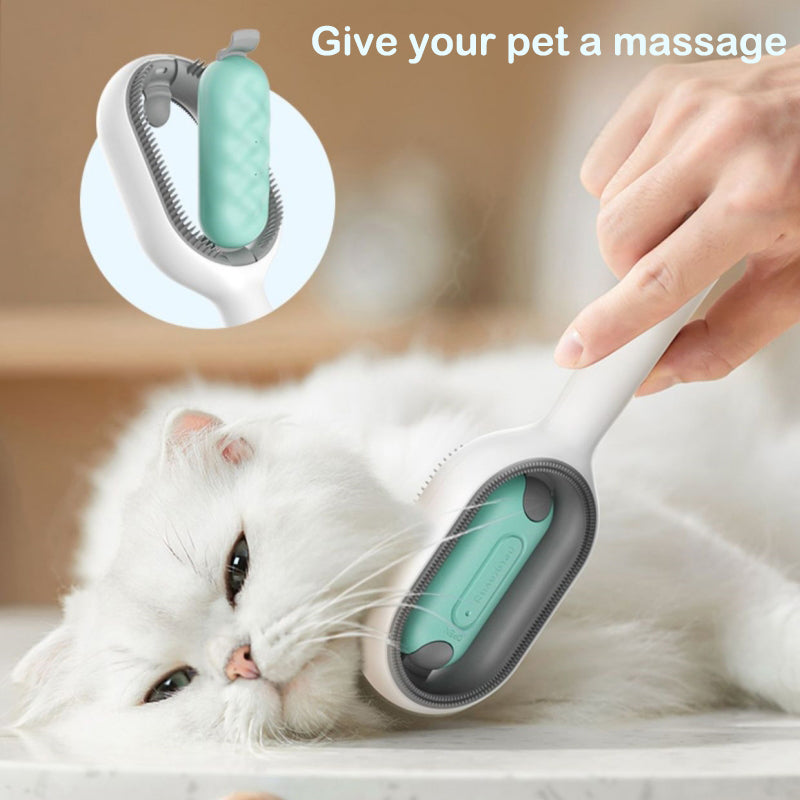 Pet cleaning outlet brush