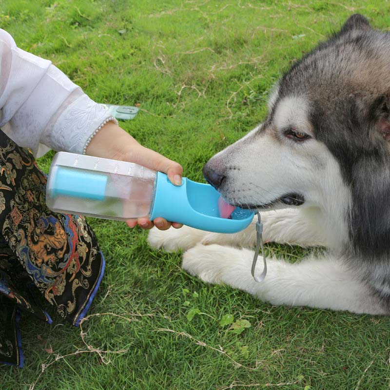 3 in 1 Multifunctional Portable Dog Walking Water Bottle, Grey