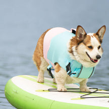 Gilet de flottaison réglable Harnais pour chien Gilet de sauvetage pour chien