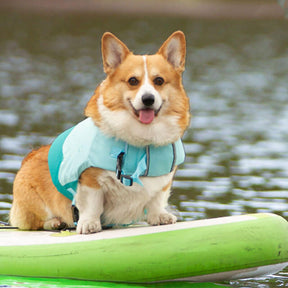 Adjustable Floatation Vest Dog Harness Dog Life Jacket
