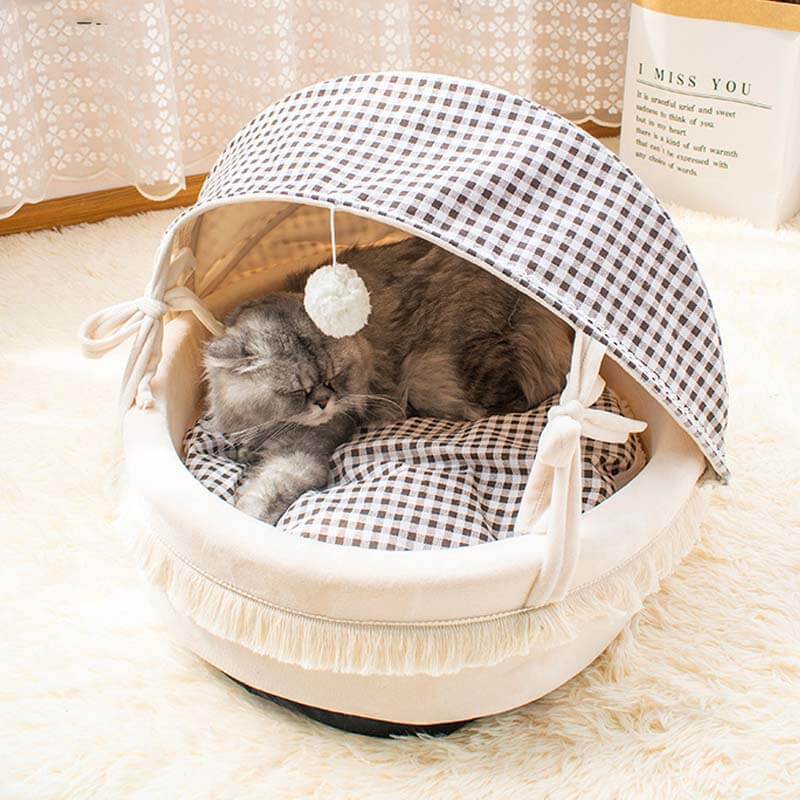 Cheap cat beds near hot sale me