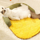 Beruhigendes, erhöhtes Kissenbett für Hunde und Katzen