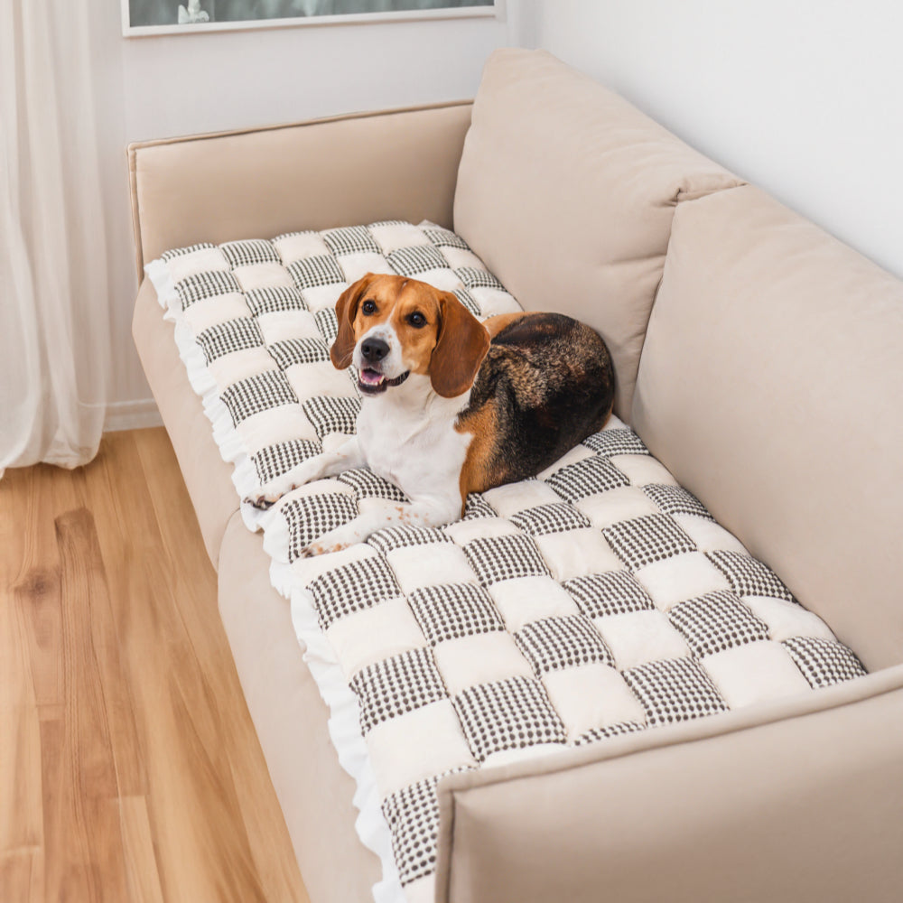 Dog off couch discount mat