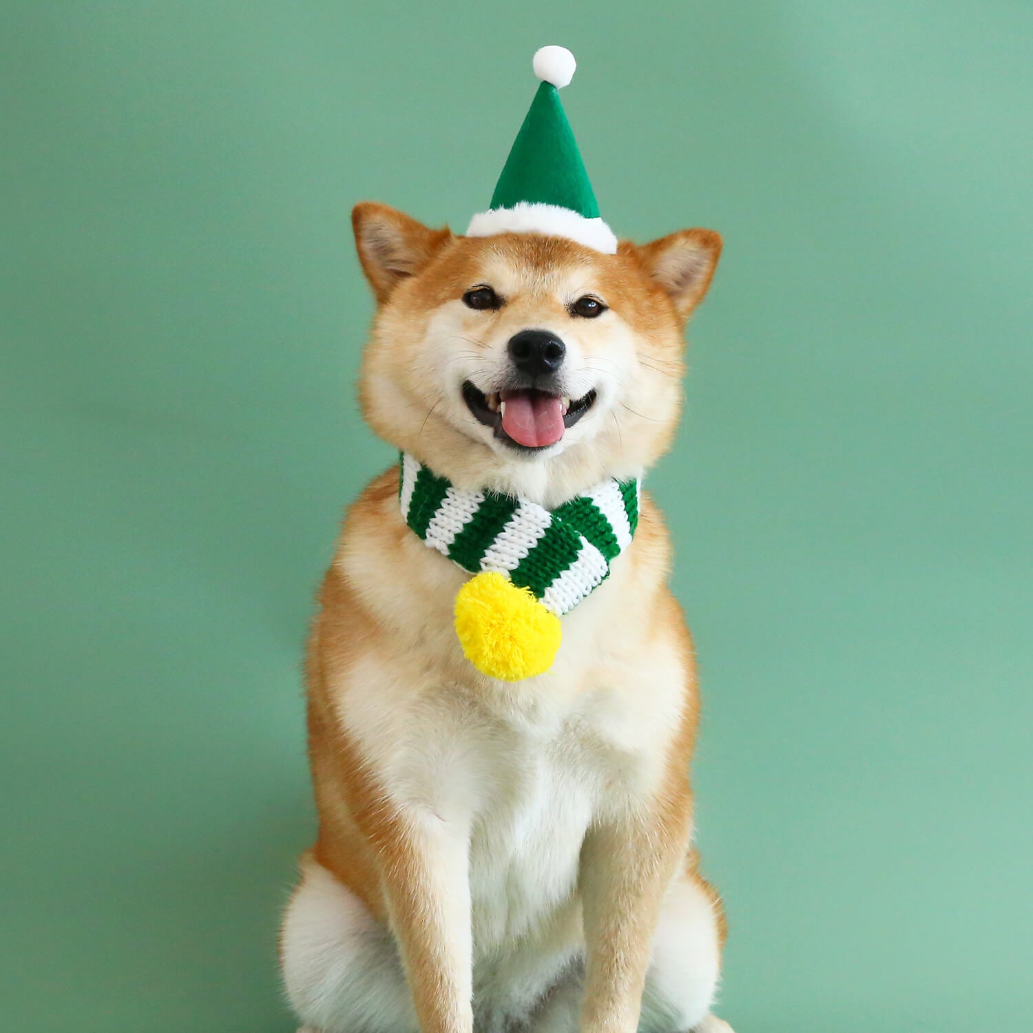 Ensemble de jeu pour chien amusant de Noël avec chapeau, écharpe et jouet