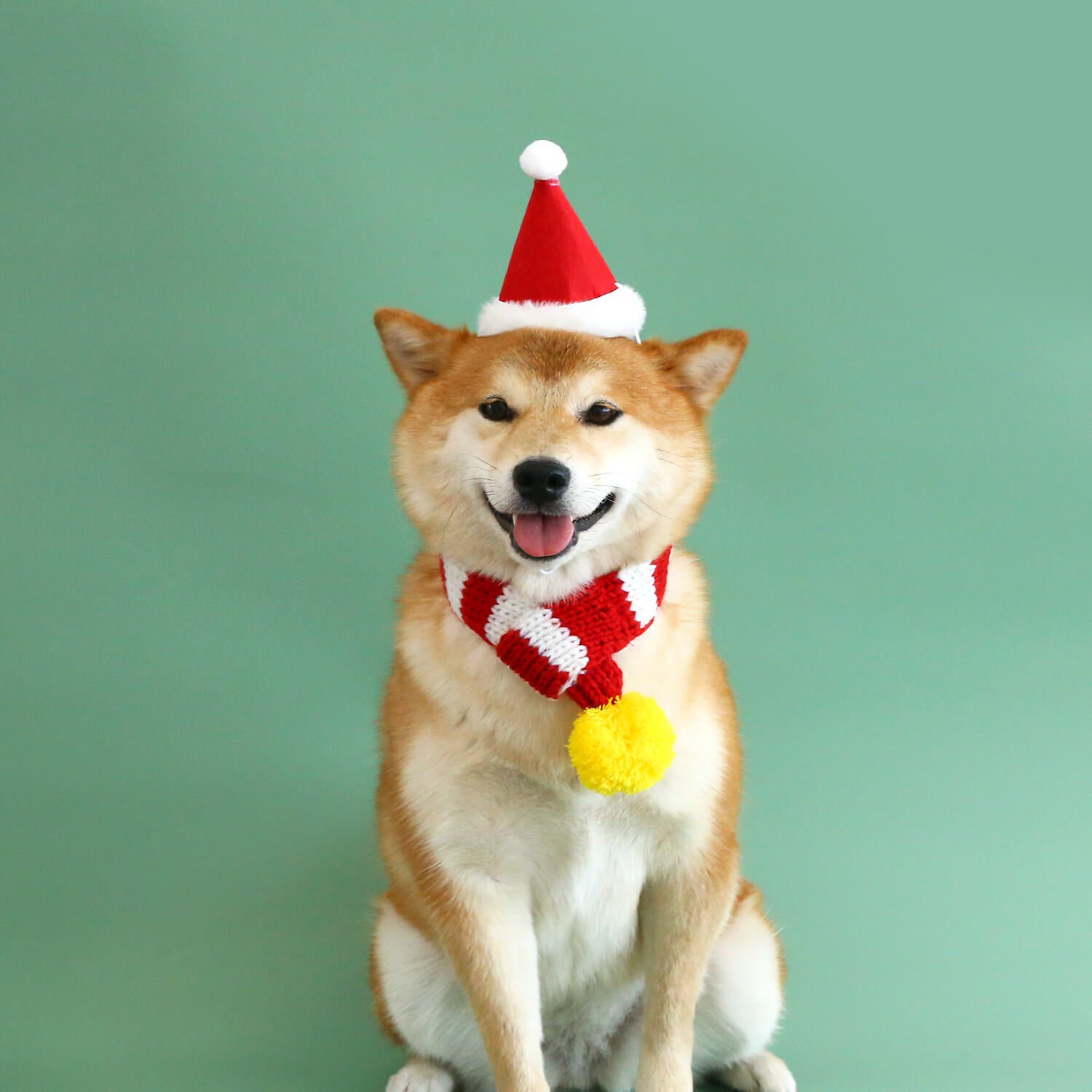 Conjunto divertido de Natal para cachorros com chapéu, cachecol e brinquedo