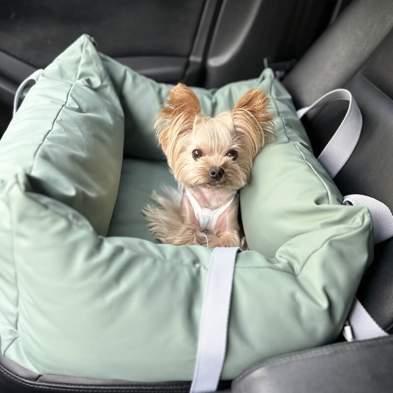 Technology Fabric Waterproof Large Space Travel Safety Dog Car Seat