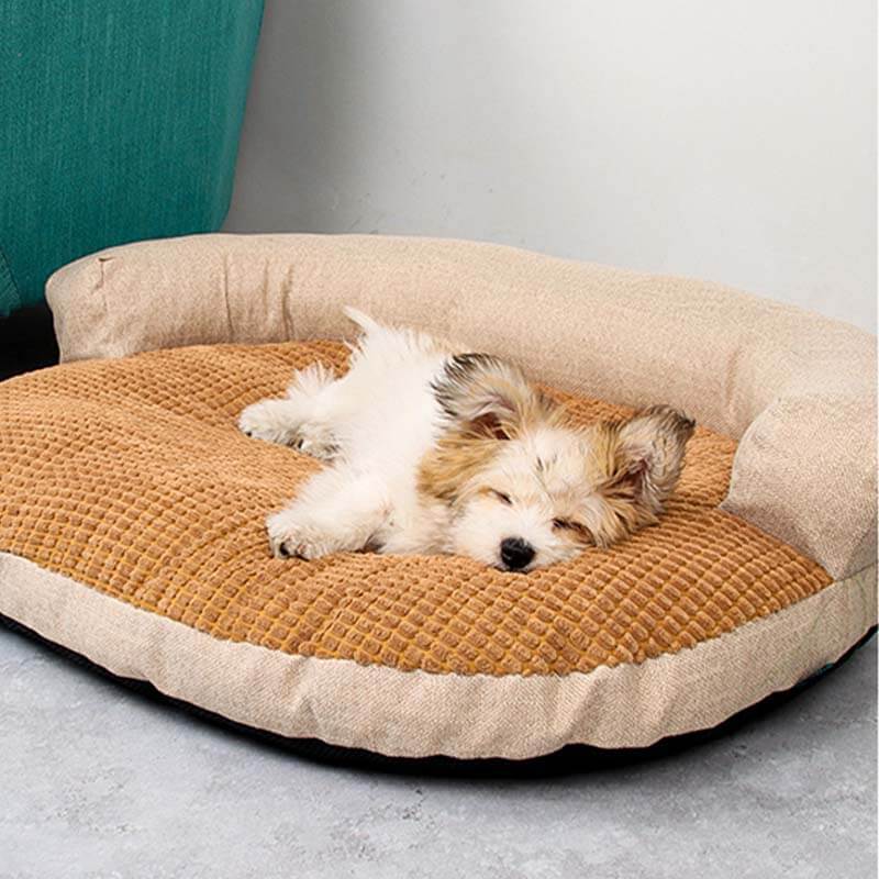 Cama para animais de estimação com proteção de pescoço de lã de milho Sofá-cama interno removível para cães
