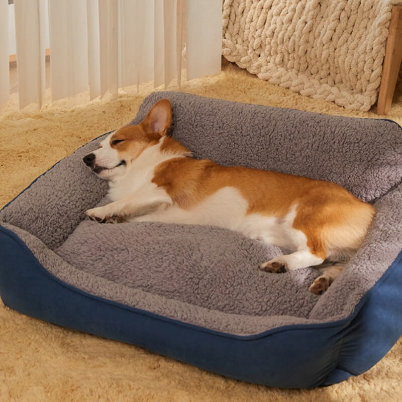 Cosy Plush Full Backrest Dog Sofa Bed