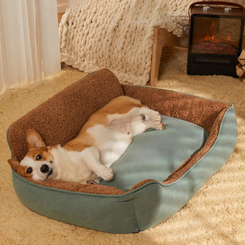 Canapé-lit pour chien à dossier complet en peluche confortable