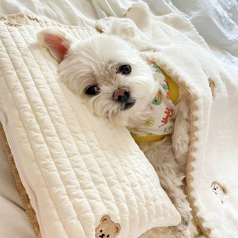 Cozy Embroidered Cotton Pet Pillow Quilt Bed Set