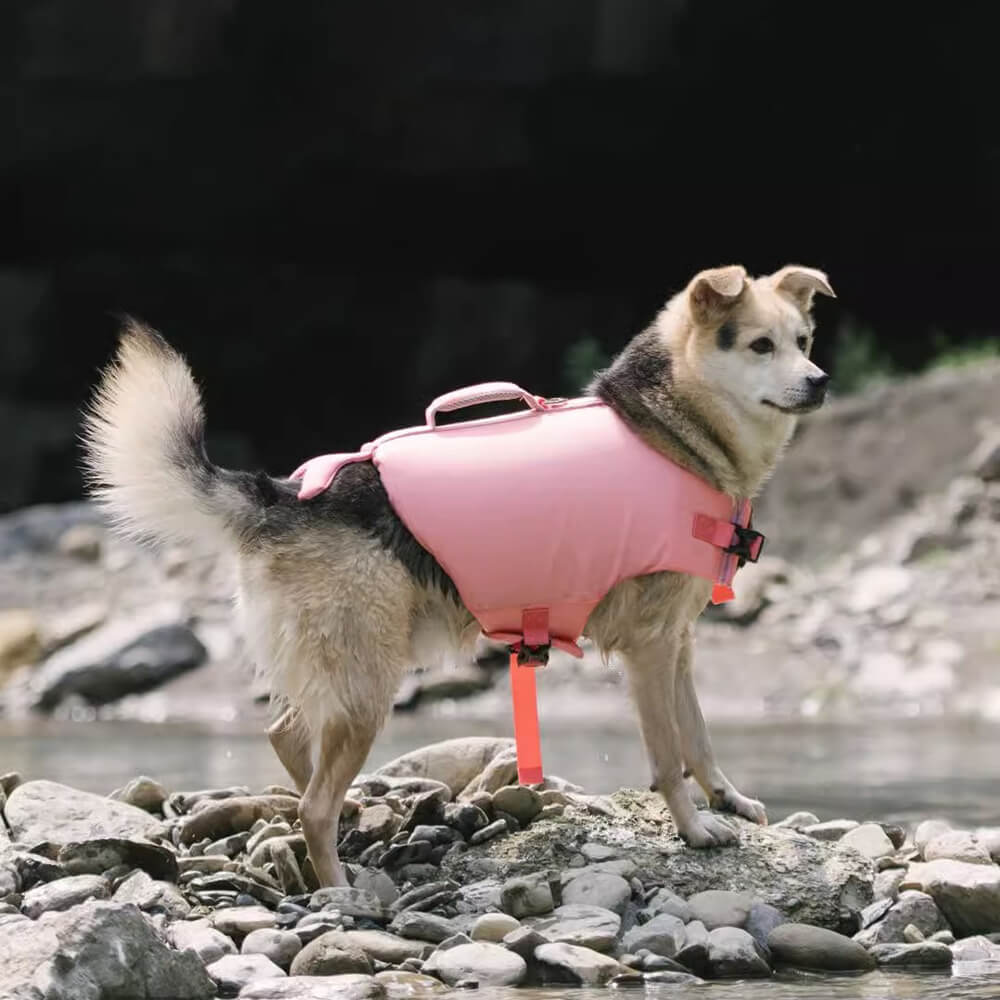 Crab Float Coat Dog Life Vest