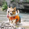 Crab Float Coat Dog Life Vest