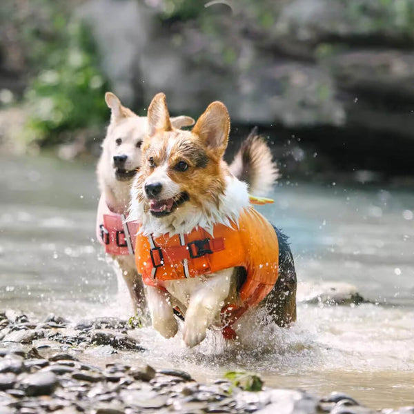 Crab Float Coat Dog Life Vest