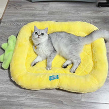 Niedliches pelziges Kissenbett für Katzen und Hunde