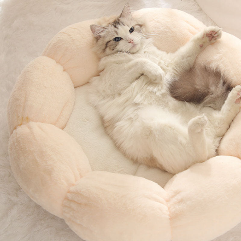 Cama de gato em forma de flor para dormir profundamente