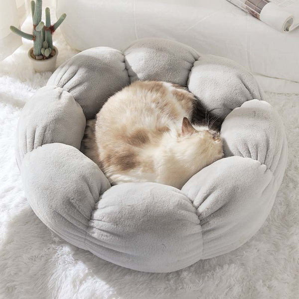 Lit de sommeil pour chat Détachable Creative Feutre Lavable Lit pour  animaux de compagnie Lit pour chaton 