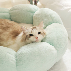 Tief schlafendes Katzenbett in Blumenform