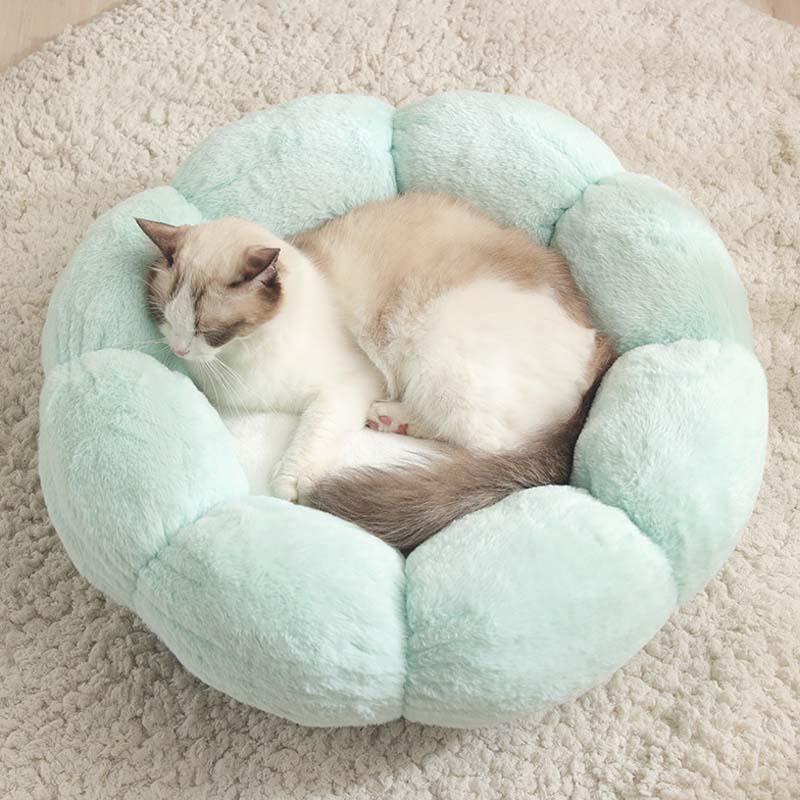 النوم العميق شكل زهرة سرير القط