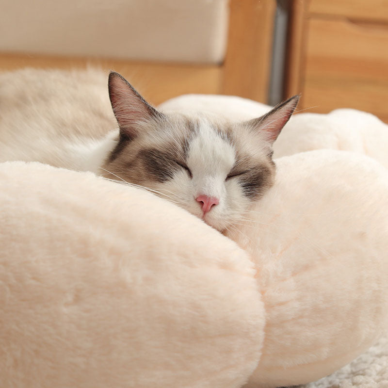 النوم العميق شكل زهرة سرير القط