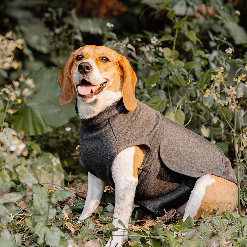 Jaqueta de ansiedade para cães Mantenha calmante colete macio respirável