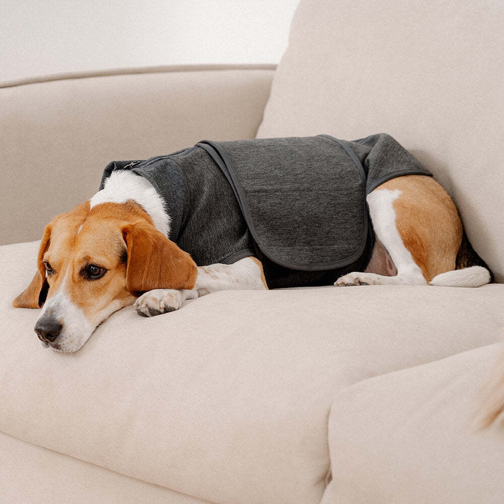 Jaqueta de ansiedade para cães Mantenha calmante colete macio respirável