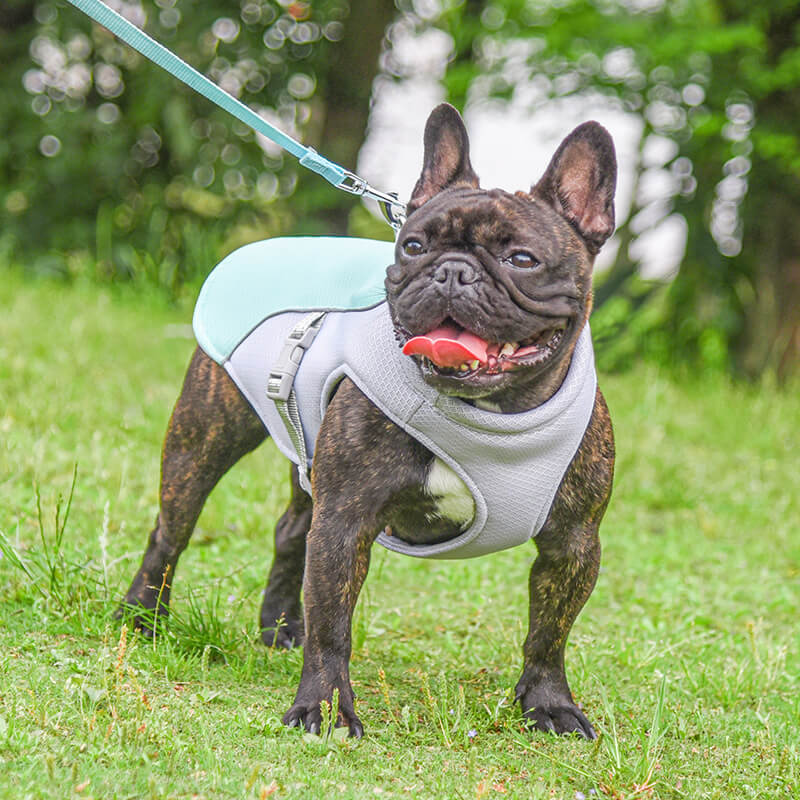 Breathable Vest For Sunstroke Prevention Water soakable Dog Cooling Vest FunnyFuzzy