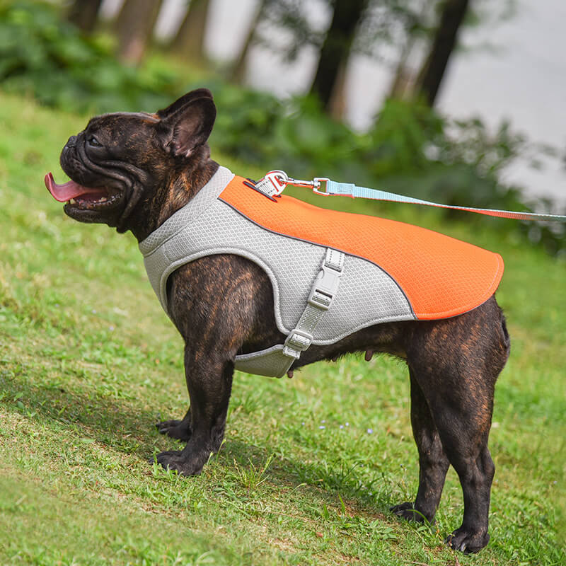 Microperforation Evaporative Pet Summer Cooling Clothes Dog Cool Vest  Jacket - China Dog Evaporative Vest and Dog Cooling Coat price
