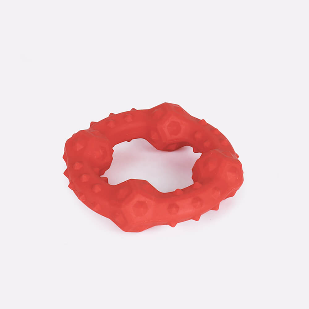 Dog Interactive Squeaky Toy Teething Chew Toy