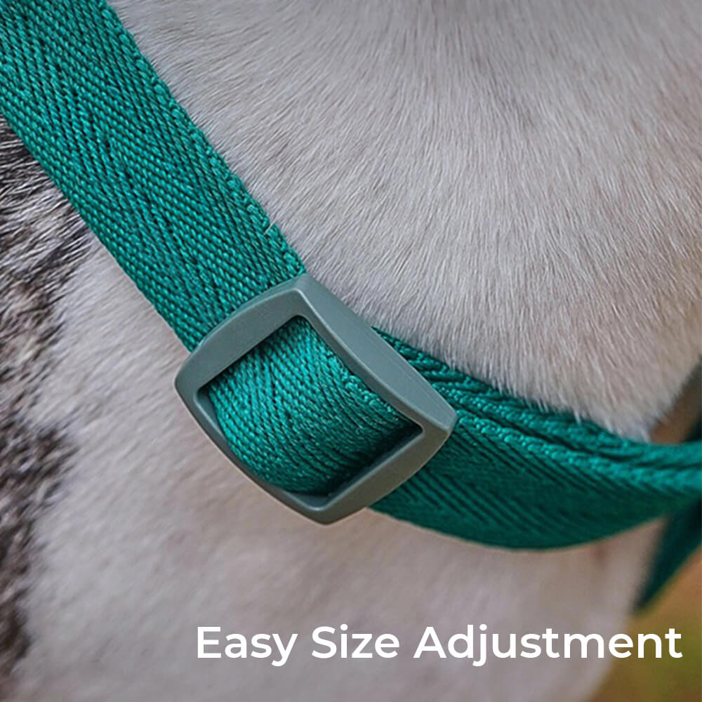 Easy to Wear Adjustable No-Pull Dog Harness Walk Set