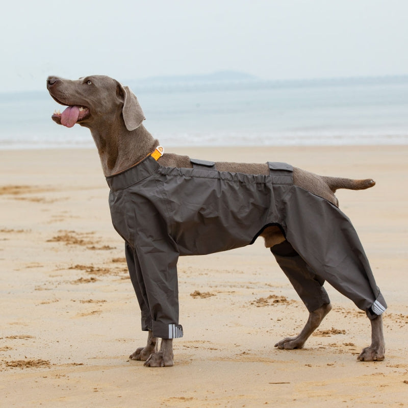 Imperméable réfléchissant pour chien entièrement enveloppé avec pattes et capuche