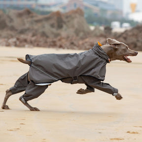 Vollständig umwickelter, reflektierender Hunderegenmantel mit Beinen und Kapuze