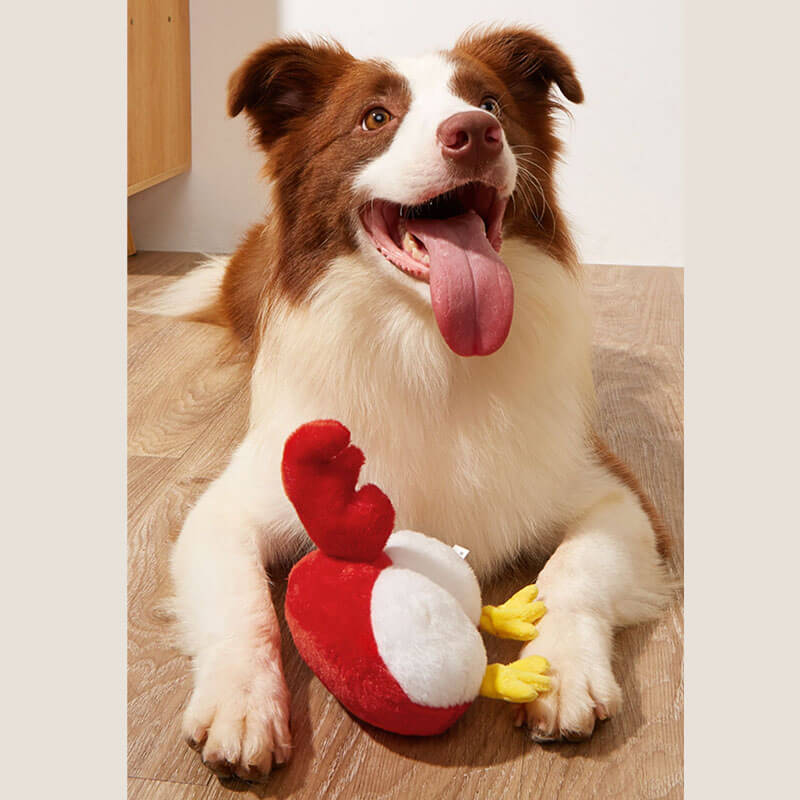 Funny Plush Squeaky Dog Toy - Butt